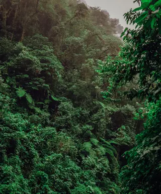 Besuche die Einheimischen